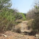 수명농장 이미지