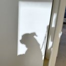 범서한방동물약국 이미지