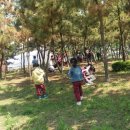 새예지유치원 이미지