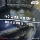 금오도더샾