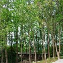 충청남도 금산군 서대산드림캠핑파크&amp;amp;오토캠핑장, 리뷰, 주차, 후기