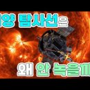 전업 유튜버가 된다면 해보고 싶은 유튜브는? 이미지