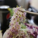 편편집 파주야당점 이미지