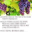 청일유기식품