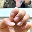 벨고쓰네일 | [하늘도시 네일]벨고쓰 젤네일 전문 (사장님 꼼꼼 손빠름)