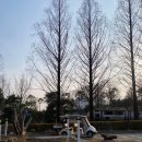 여주 마조렐글램핑리조트 이미지