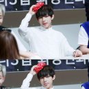 태형 이미지