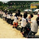 우산초등학교 티스토리