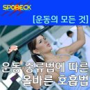 스포벡휘트니스 이미지