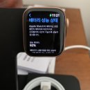 Apple Watch Series 5 (애플워치 5) 판매 이미지