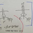 1권 7장 세포호흡 189p 12번 문제 ㄷ 선지 F0F1 복합체 ATP 소모 이미지