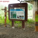 갈맷길8-2 이미지