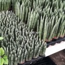 형아농장 이미지