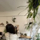 제이;나 플랜트 이미지