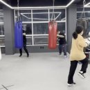 메이져복싱 용암점 이미지