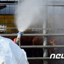 이성관농장 뉴스1