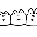 로라랜드 이미지