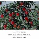 사연농장 이미지