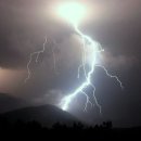 티디바이오 이미지