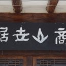동산정 티스토리