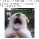 준혁이네집 | [준혁이의 요리교실] 예비신랑이 만든 꼬기영 닭볶음탕 밀키트 솔직후기