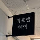리포엘헤어 | 대전 봉명동 '리포엘헤어' 젤리펌 후기✨ 자연스럽고 탱글하게