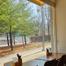 구룡산로51번마길(3-306) | 청주 성화동 맛집 분짜와 쌀국수 맛있는 베트남 음식 전문점 호이안 후기