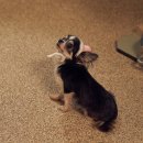 영화에너지㈜ 이미지