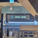 용추계곡 정각 옆 공용 이동식화장실 | "하레하레, 꾸드뱅베이커스하우스, 콜드버터베이크샵, 성심당" 대전 빵지순례 빵투어 후기