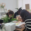 데이그래피 이미지