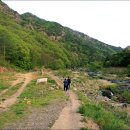 월류봉 둘레길 목교 화장실 이미지