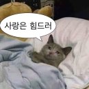 연양로 | December는 12월❗️