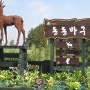 자연사슴농장 이미지