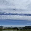 고트바스켓볼