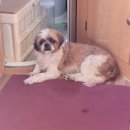 바람쉼터 이미지