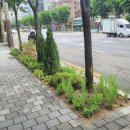 여의대방로35가길 이미지