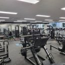 가오짐 피티샵 이미지