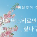 잼있는점핑체온다이어트 이미지