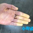 수족발 이미지