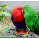 스마트폰강좌 이미지