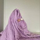 필라테스 지금 이미지