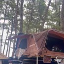 구산솔밭 이미지