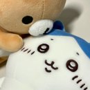 63.청춘은 깊은샘의 청신함