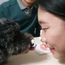부경고 3 | 사랑하는 계절에게
