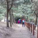 아름다운2태양광발전소 이미지