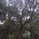 애드타임하우스 이미지