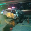 기룡솔밭 이미지