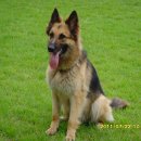 세중농장 이미지