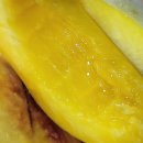 🍑 장호원황도 - 선물전용 박스 포장 발송 이벤트 [50박스] 이미지