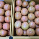 가정1-02-010 이미지